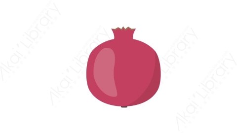 AE模板 65-pomegranate石榴水果MG扁平卡通食物蔬菜水果元素图标