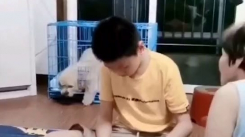 视频素材 热我吹吹_名场面魔性视频素材