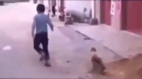 视频素材 不是兄弟胜是兄弟_名场面魔性视频素材