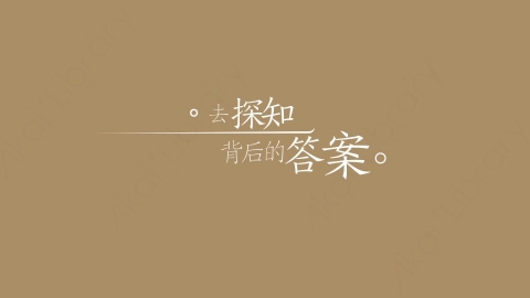 AE模板-去探知背后的答案综艺花字弹幕暖场抒情