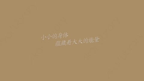 AE模板-小小的身体蕴藏着大大的能量综艺花字弹幕暖场抒情