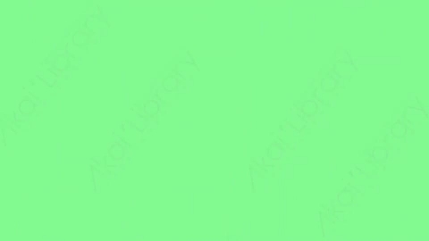 AE模板-Fractal-Splines-4扁平MG运动图形线条故障失真效果转场过渡动画