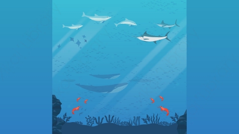 图片素材-扁平海底水下自然风景场景-10