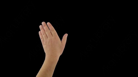 AE模板-Hand (Left) Swipe to Right左手向右滑动卡通MG手绘涂鸦商务公司手部肢体动作