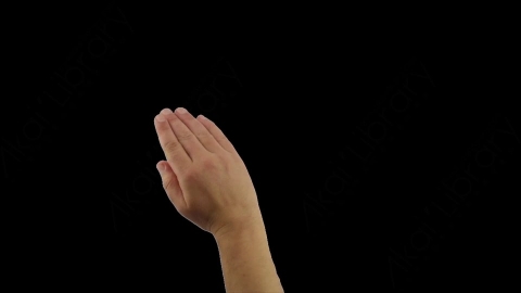 AE模板-Hand Swipe to Right向右滑动卡通MG手绘涂鸦商务公司手部肢体动作