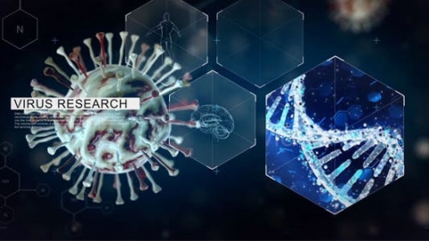 AE模板-医学生物病毒医疗科学科技图片展示