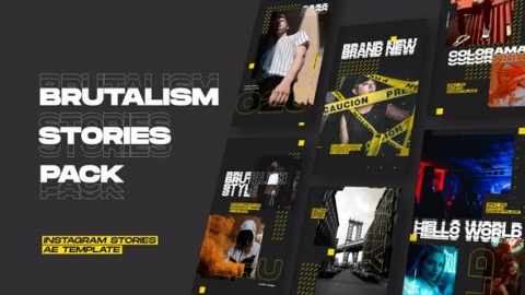 AE模板-Instagram故事图片展示手机版式设计