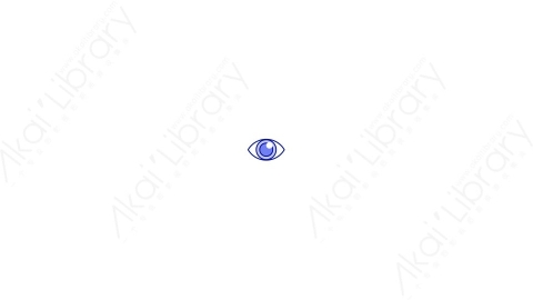 AE模板-MG扁平设计软件元素图标Eyes眼睛