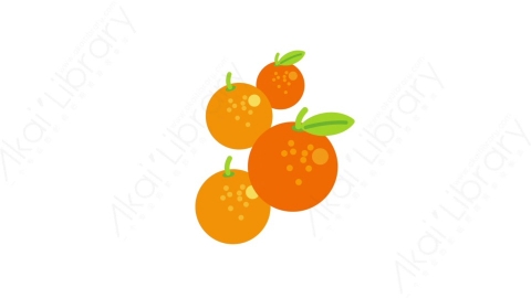 AE模板-MG扁平食物饮食元素图标Oranges橘子