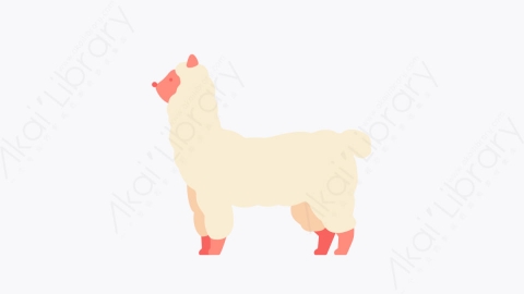 图片素材-001羊驼 alpaca扁平MG卡通动物元素图标
