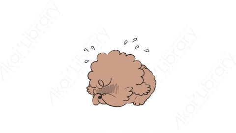视频素材-可爱卡通泰迪狗狗动态表情包_02_19