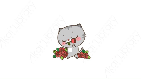 视频素材-可爱搞笑猫咪动态表情包_01_06