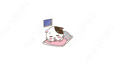 视频素材-可爱搞笑猫咪动态表情包_02_23