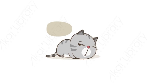 视频素材-可爱搞笑猫咪动态表情包_03_08