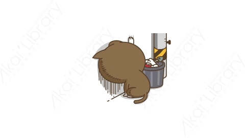 视频素材-可爱搞笑猫咪动态表情包_10_03