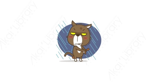 视频素材-可爱搞笑猫咪动态表情包_10_09