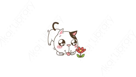 视频素材-可爱搞笑猫咪静态表情包_14_01