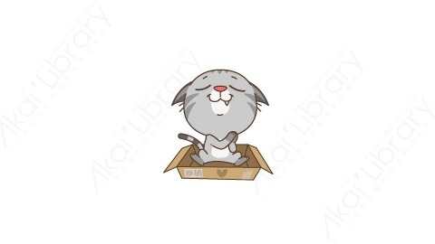 视频素材-可爱搞笑猫咪静态表情包_14_16