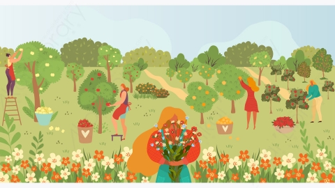 图片素材-MG卡通插画园林护理园艺人果树夏季收获卡通插画园丁采摘水果