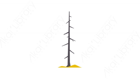 图片素材-006树_tree秋季自然道具元素图标