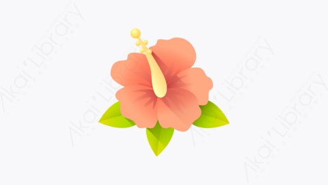 图片素材-010-芙蓉花hibiscus扁平卡通夏季元素图标