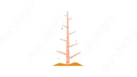 图片素材-017树_tree秋季自然道具元素图标