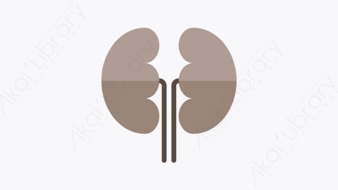 图片素材-021-肾脏kidney扁平卡通卫生保健元素图标