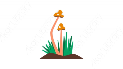 图片素材-021蘑菇_mushrooms秋季自然道具元素图标