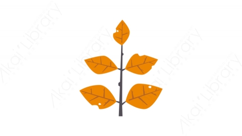 图片素材-022树枝_tree_branch秋季自然道具元素图标