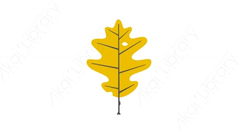 图片素材-025树叶_tree_leaf秋季自然道具元素图标