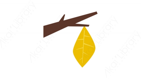 图片素材-028树枝_tree_branch秋季自然道具元素图标