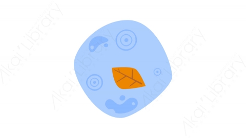 图片素材-036水坑_puddle秋季自然道具元素图标