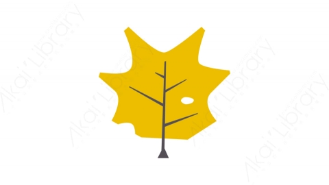 图片素材-039树叶_tree_leaf秋季自然道具元素图标