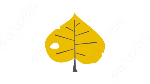 图片素材-042树叶_tree_leaf秋季自然道具元素图标