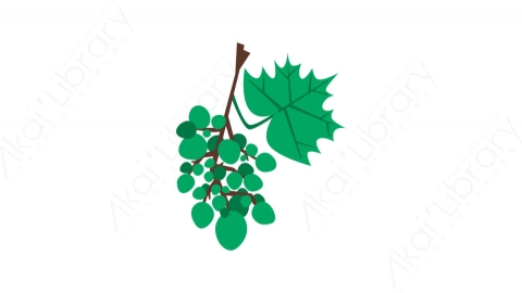 图片素材-047葡萄_grapes秋季自然道具元素图标