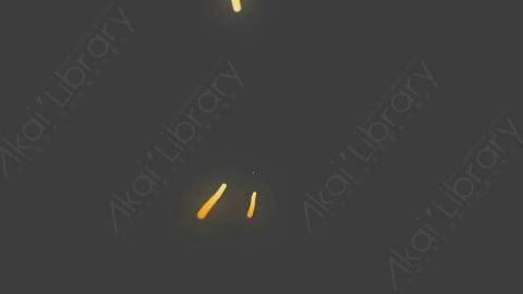 视频素材-07_Bullets_BODY弹道