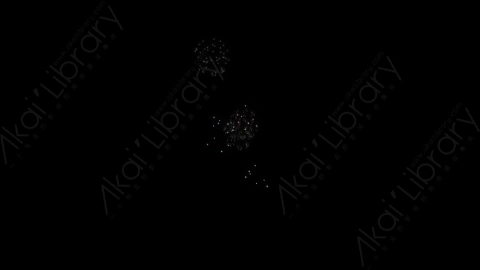 视频素材-烟花12_Small_MultiBang