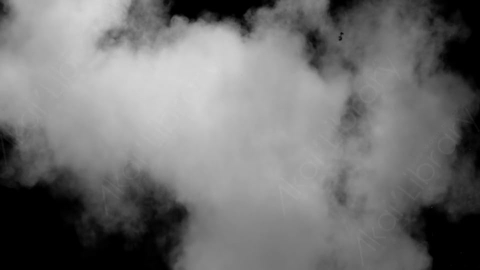 视频素材-Powder_ExplodeUp_White_01爆炸粉尘