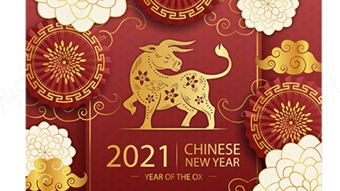 图片素材-扁平2021牛年中国风新年春节喜庆贺图-7