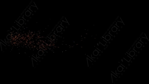 视频素材-燃烧余烬火花4K_Embers_034