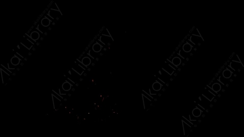 视频素材-燃烧余烬火花4K_Embers_103
