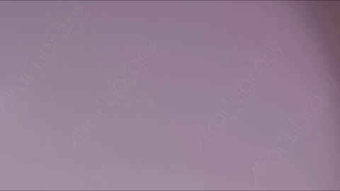 视频素材-耀斑Amber_Transition_1
