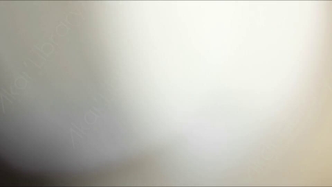 视频素材-耀斑Amber_Transition_3