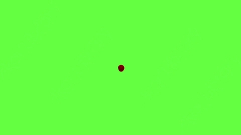 视频素材-血液滴落Blood_Drops_60fps_01