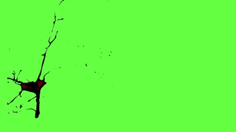 视频素材-血液喷出Blood_HitSide_Large_120fps_03