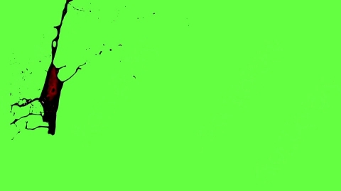 视频素材-血液喷出Blood_HitSide_Large_120fps_05