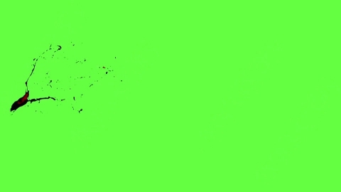视频素材-血液喷出Blood_HitSide_Medium_120fps_04