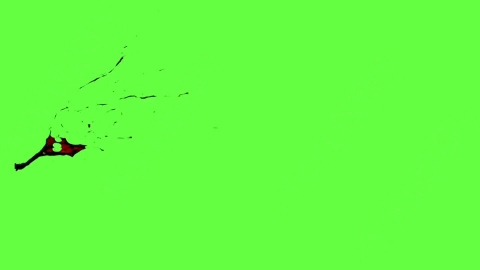 视频素材-血液喷出Blood_HitSide_Medium_60fps_01