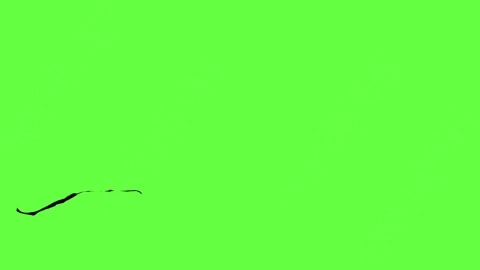视频素材-血液喷出Blood_HitSide_Small_60fps_03