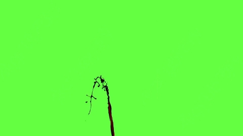 视频素材-血液喷出Blood_Stream_60fps_17